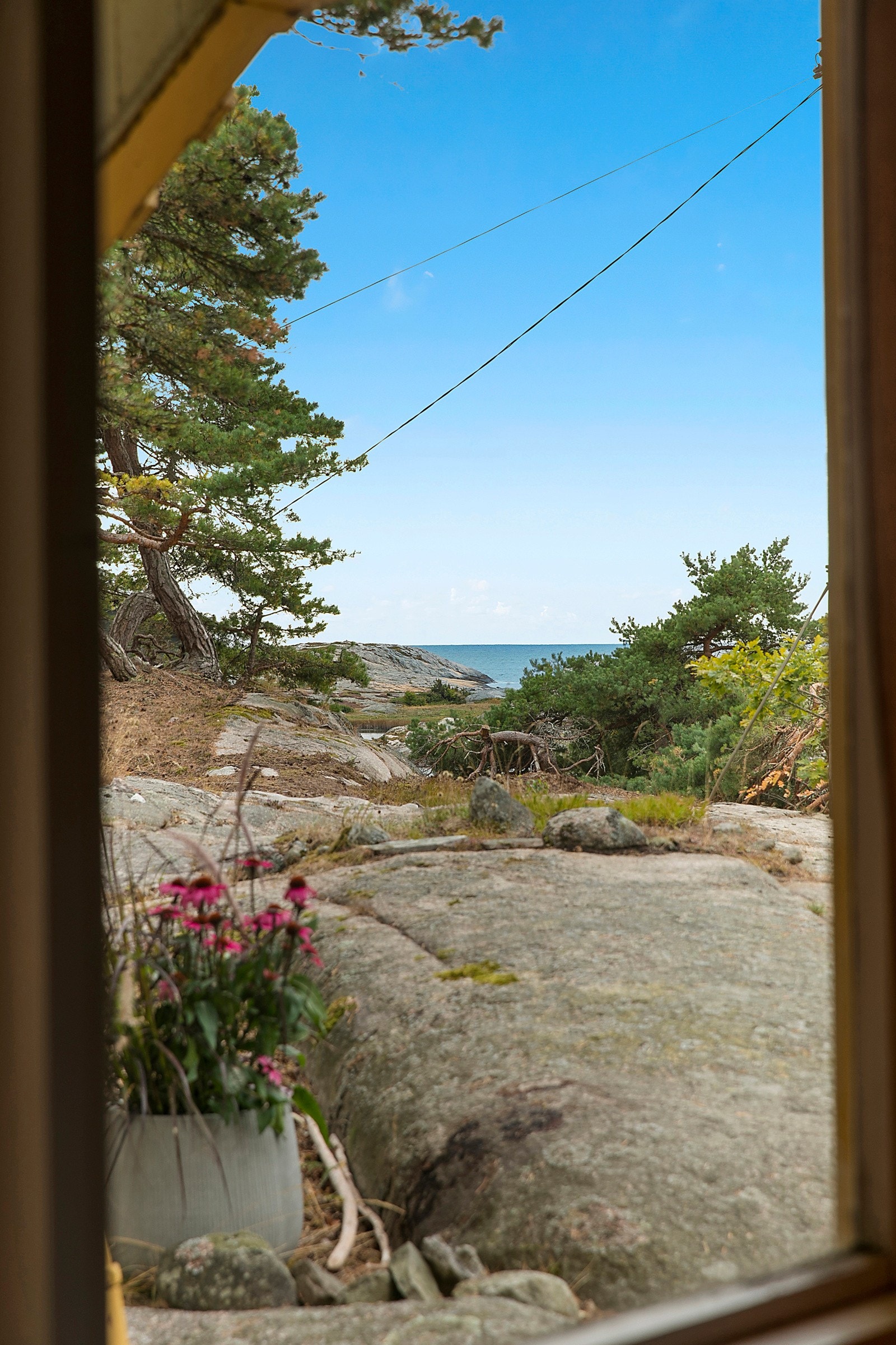 Flott utsikt fra stuen Galleribilde