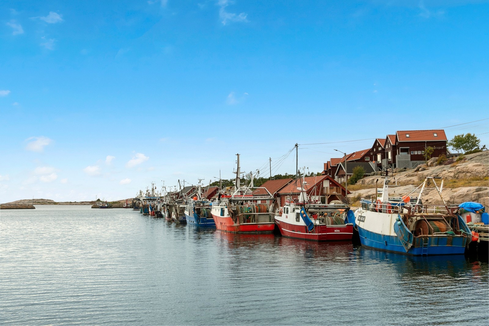 Utgårdskilen har Østlandets største fiskemottak med flere stasjonerte fiskebåter i området Galleribilde