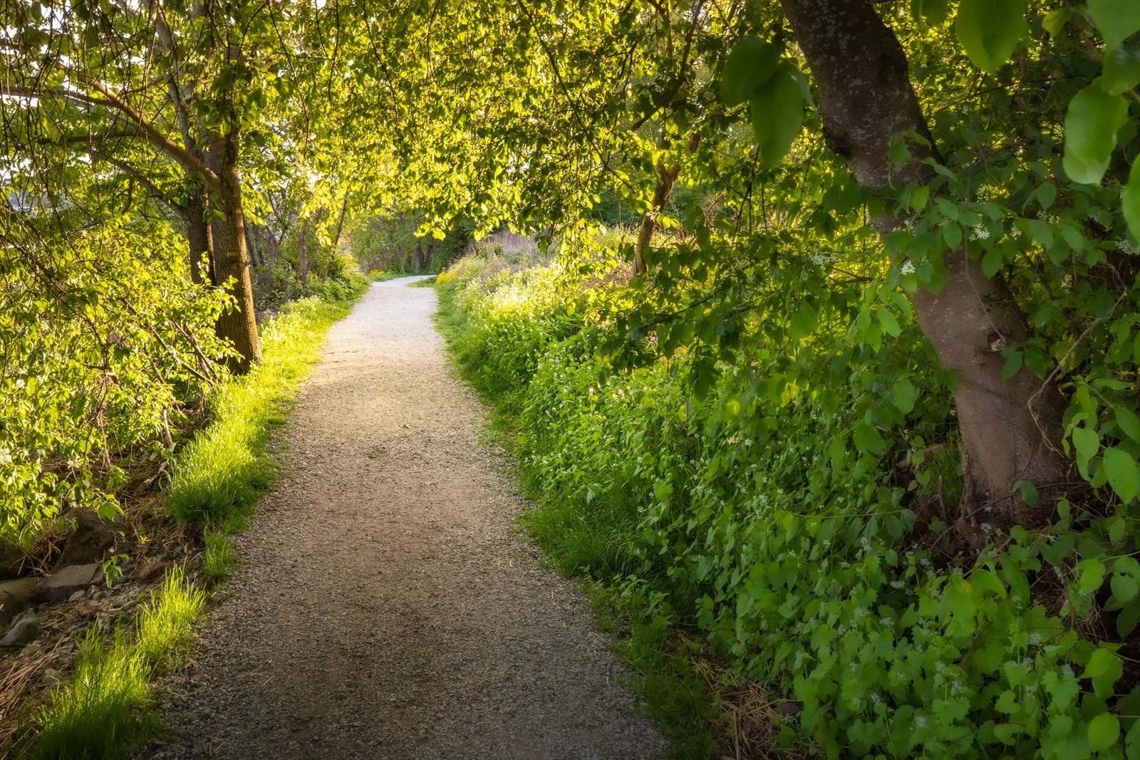 Vollen Kyststien Galleribilde
