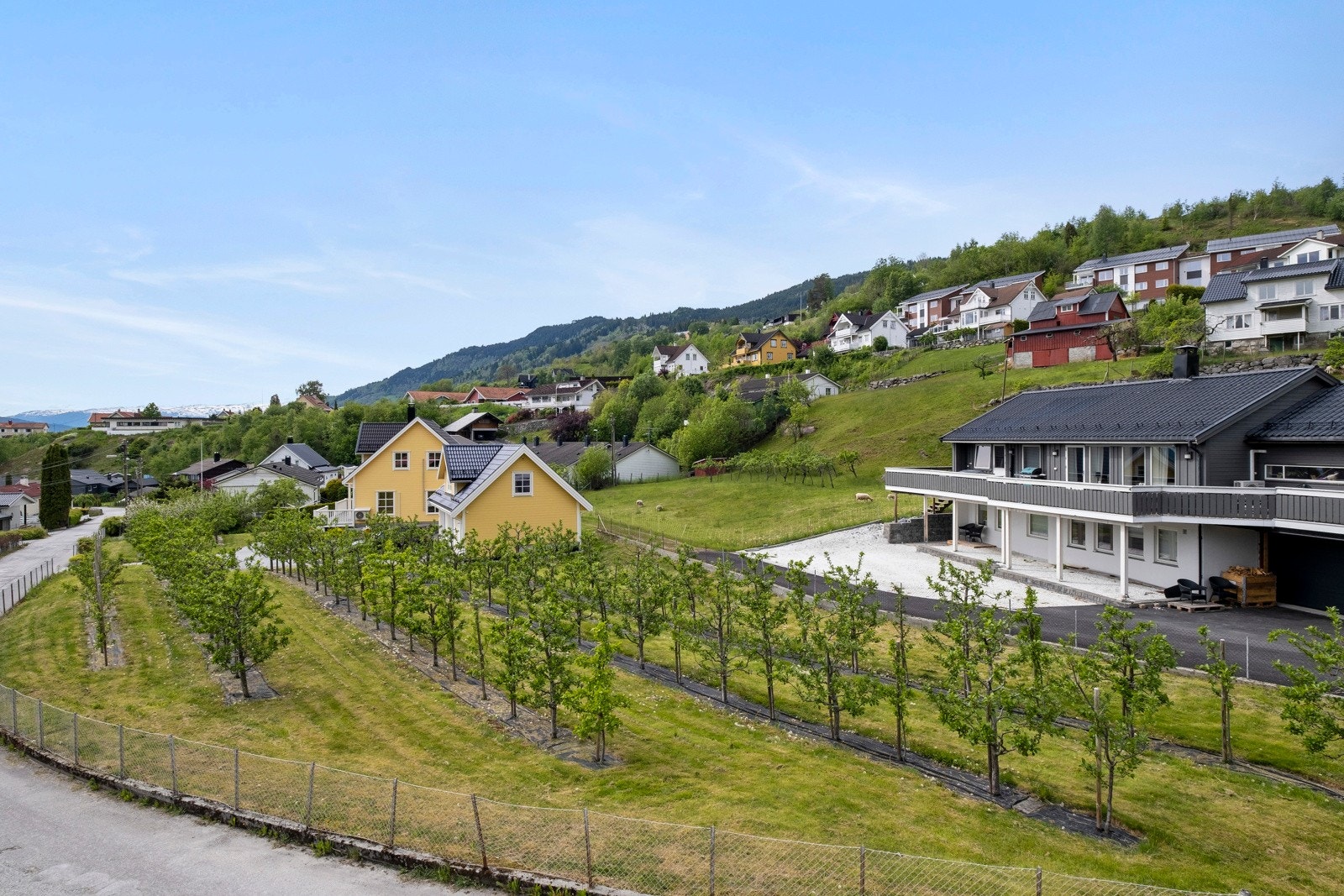 Hagen rundt huset er på nesten 2 mål og består av omlag 100 frukttre av ulike sortar. Galleribilde