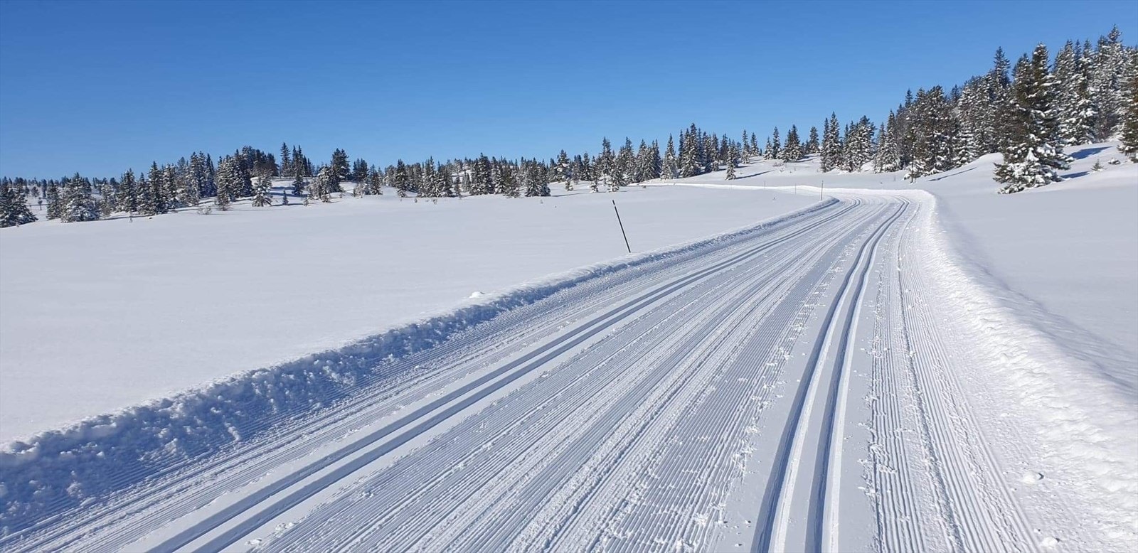 Trikkeskinner i vakker natur. Galleribilde