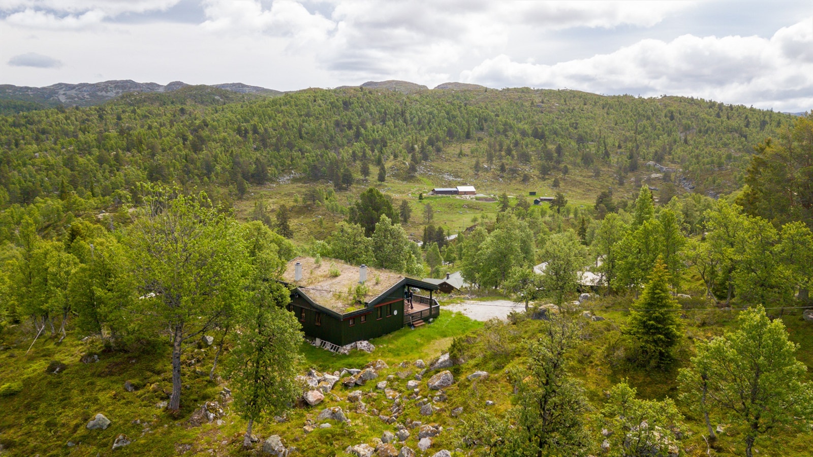 Oversiktsbilde. Galleribilde