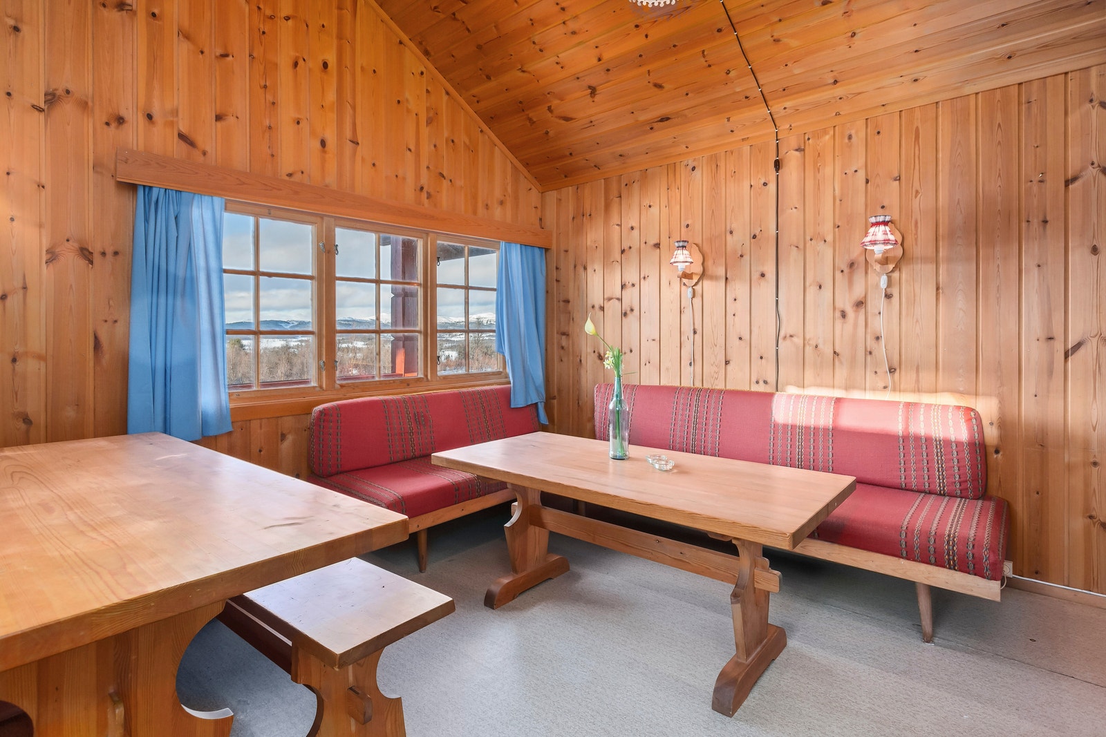 Flott fjellutsikt Galleribilde