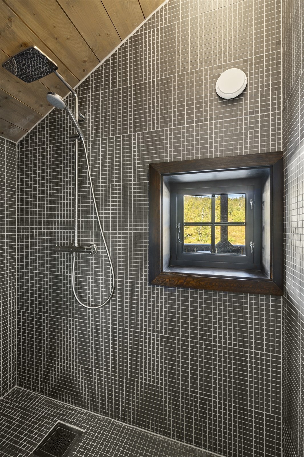 Bad nr. 1. Galleribilde