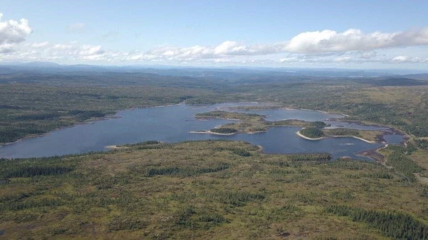 Nærområdet. Galleribilde