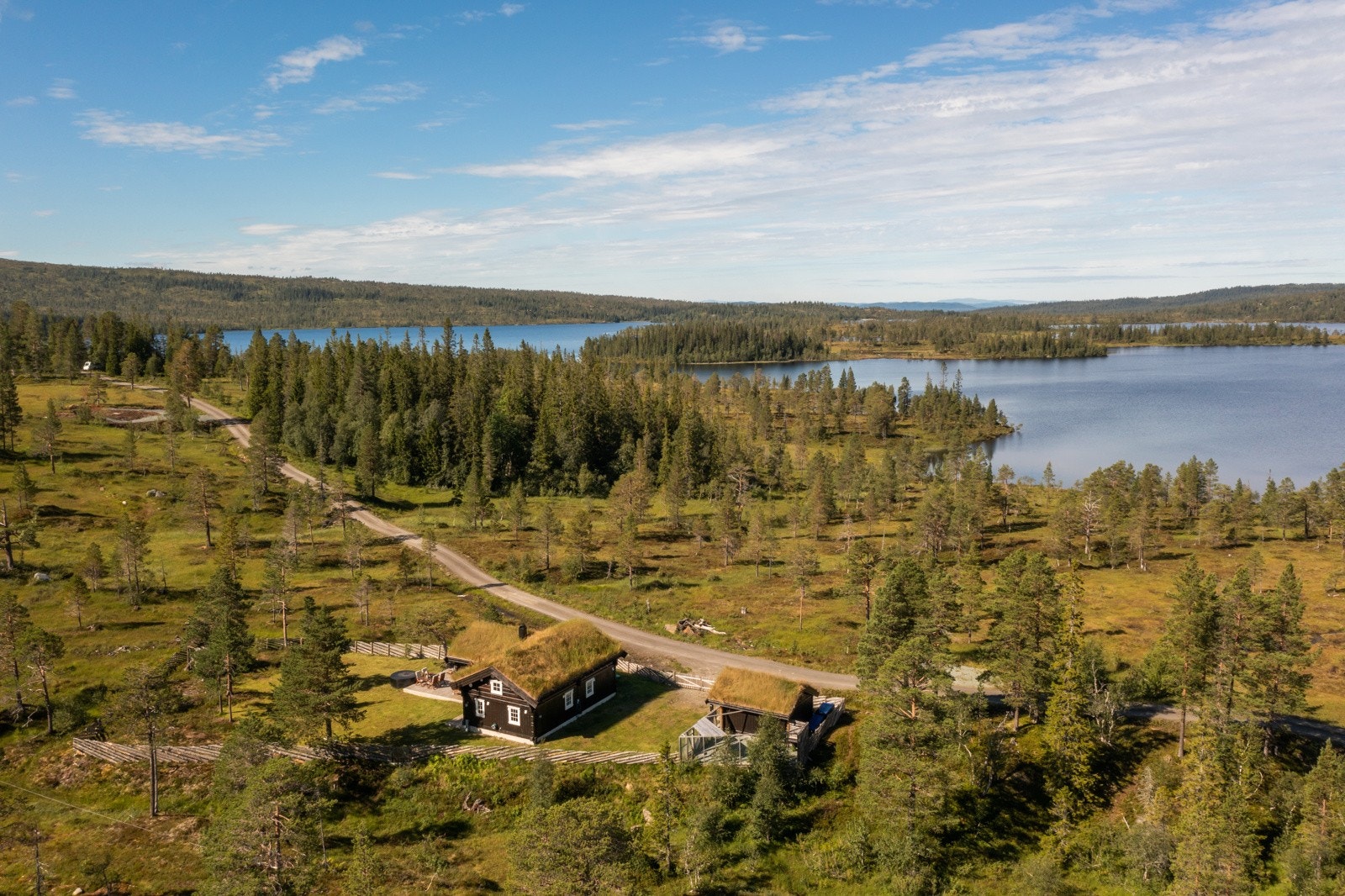 Nærområdet. Galleribilde