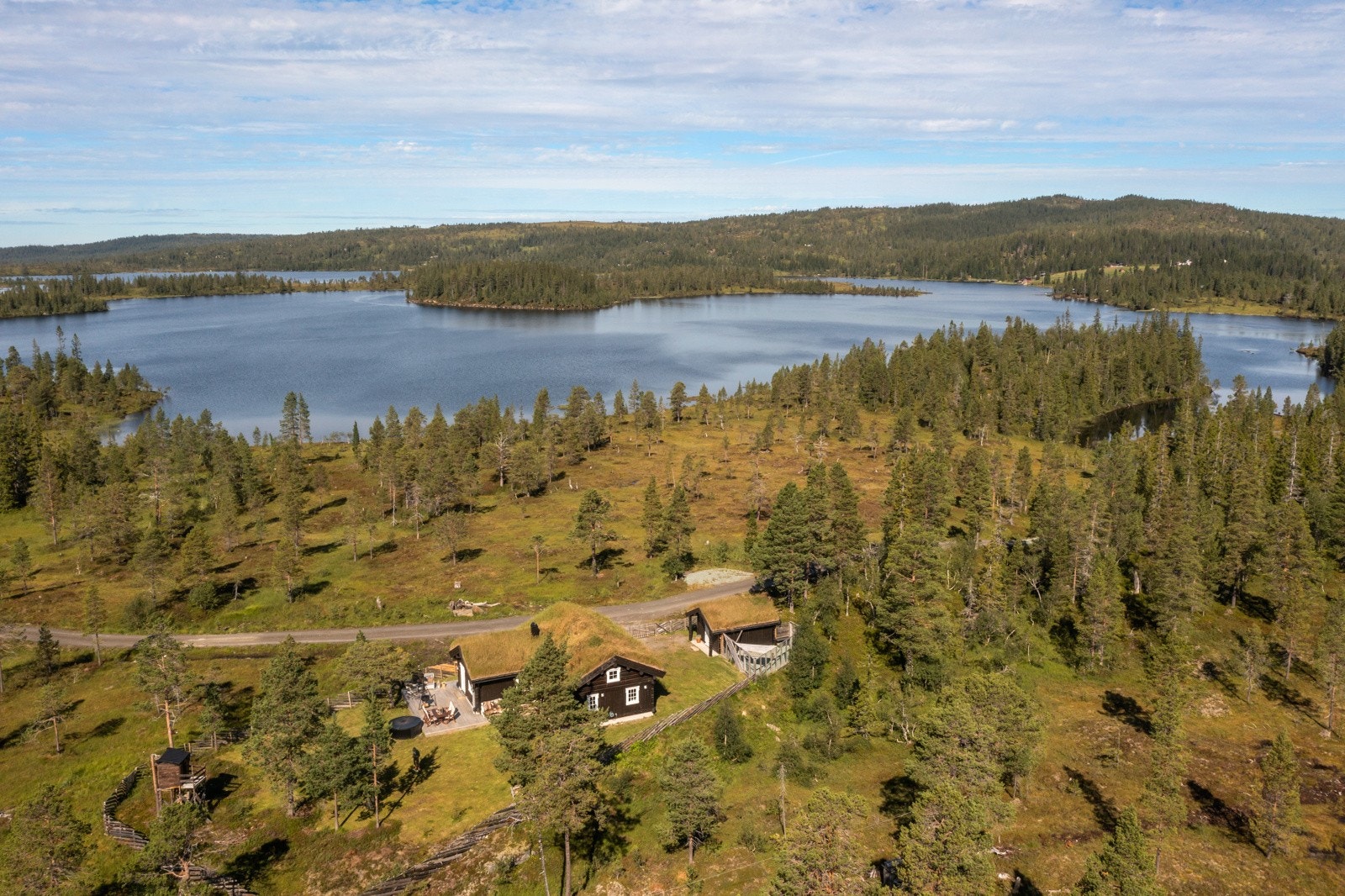 Nærområdet. Galleribilde