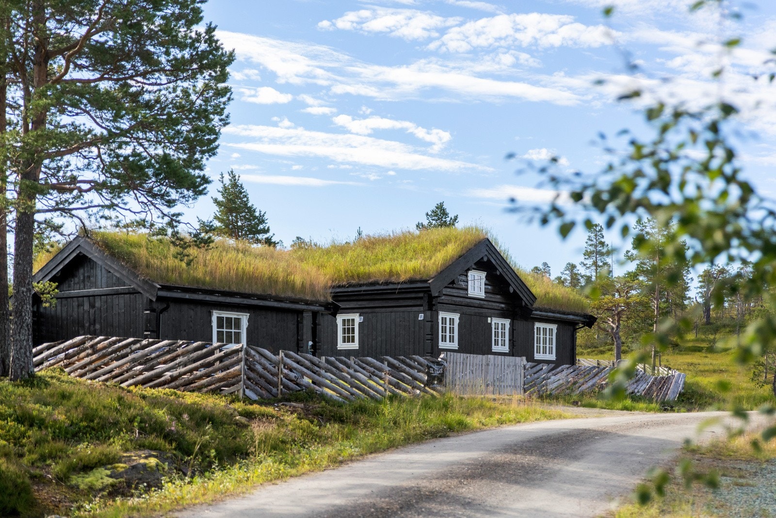 Det er praktisk sommervei helt inn til hytta, og hytta er tilknyttet strøm og vann. Galleribilde