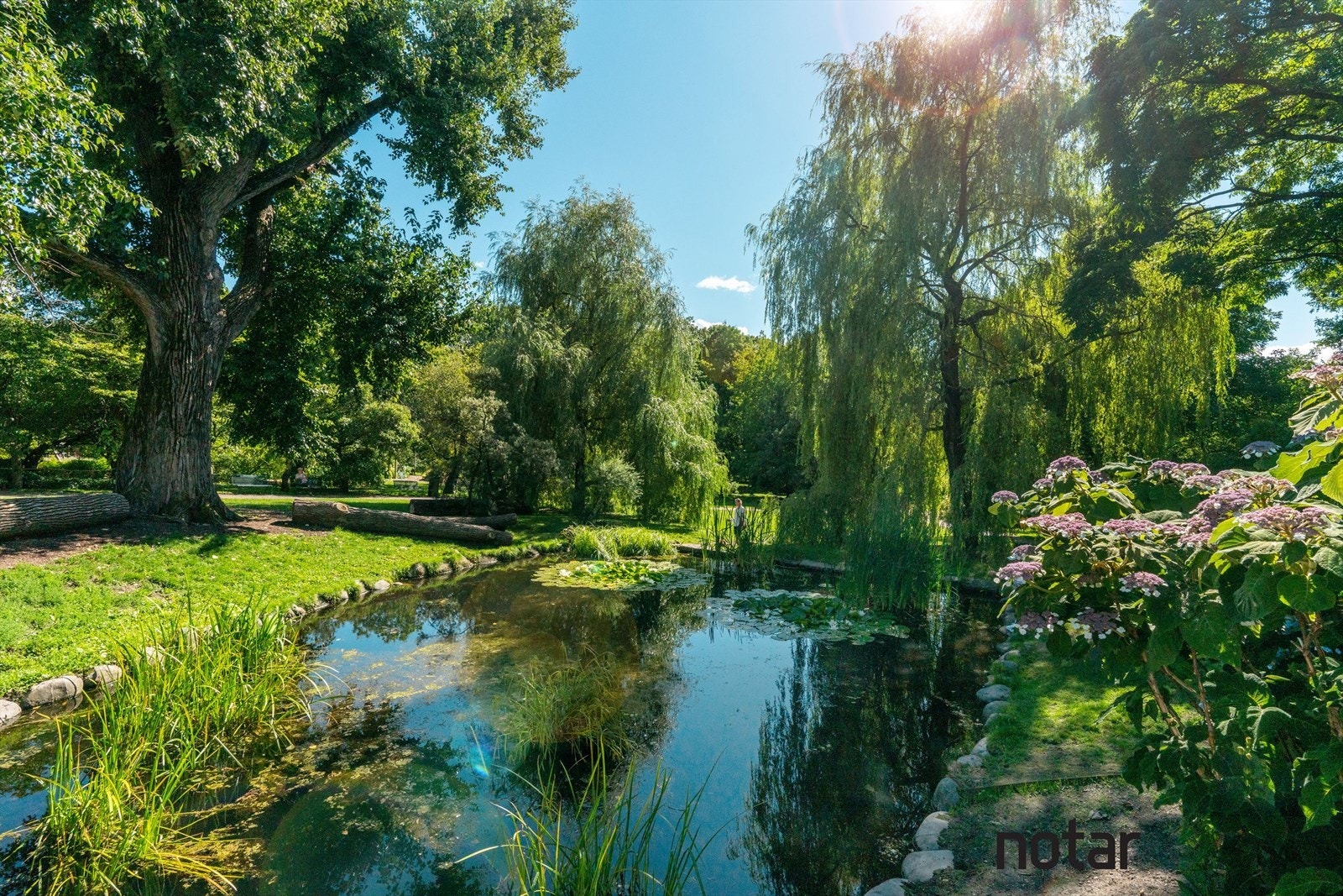 - Botanisk Hage på Tøyen er også en del av nærområdet og er muligens byens fineste park - Galleribilde