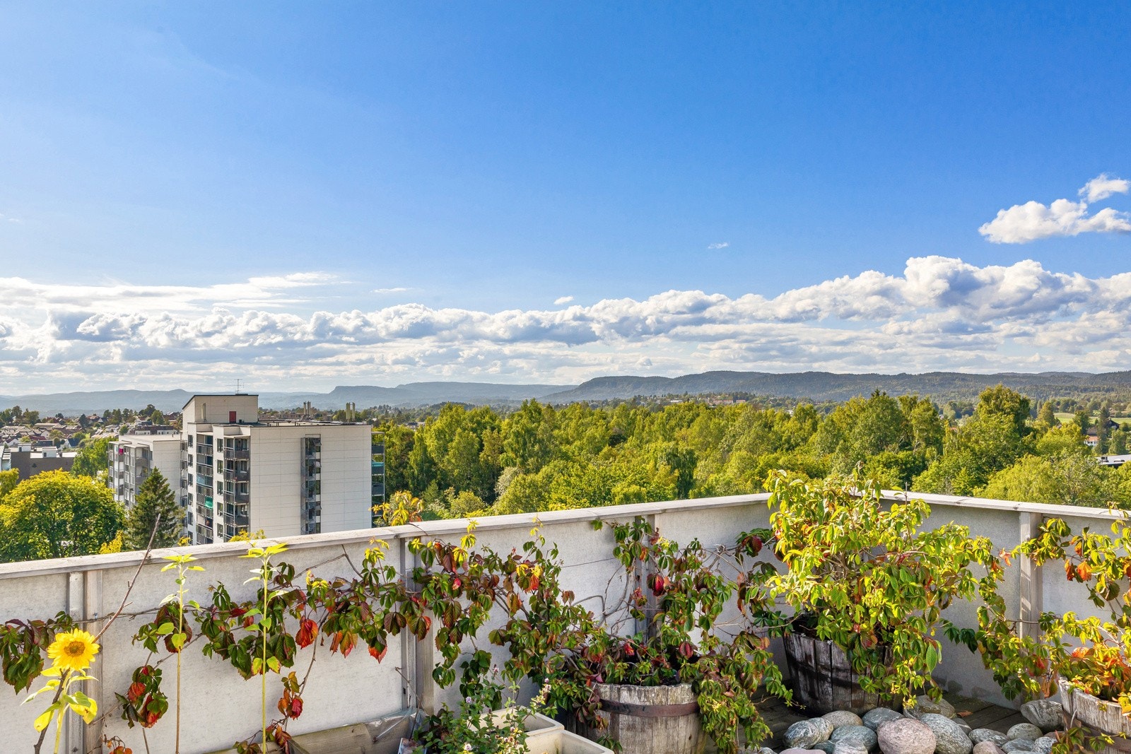 Utsikt mot marka og Bærum fra felles takterrasse. Galleribilde