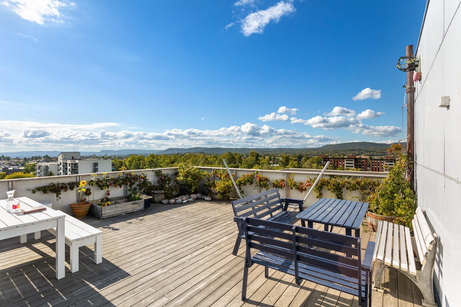 Flott takterrasse med felles sittegrupper til bruk for beboerne. Galleribilde