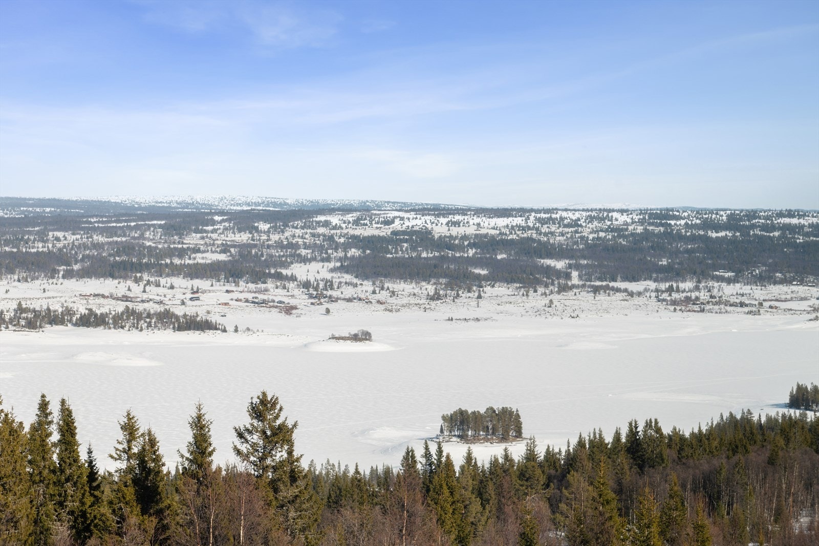 Is- og snødekte Tisleifjorden. Galleribilde