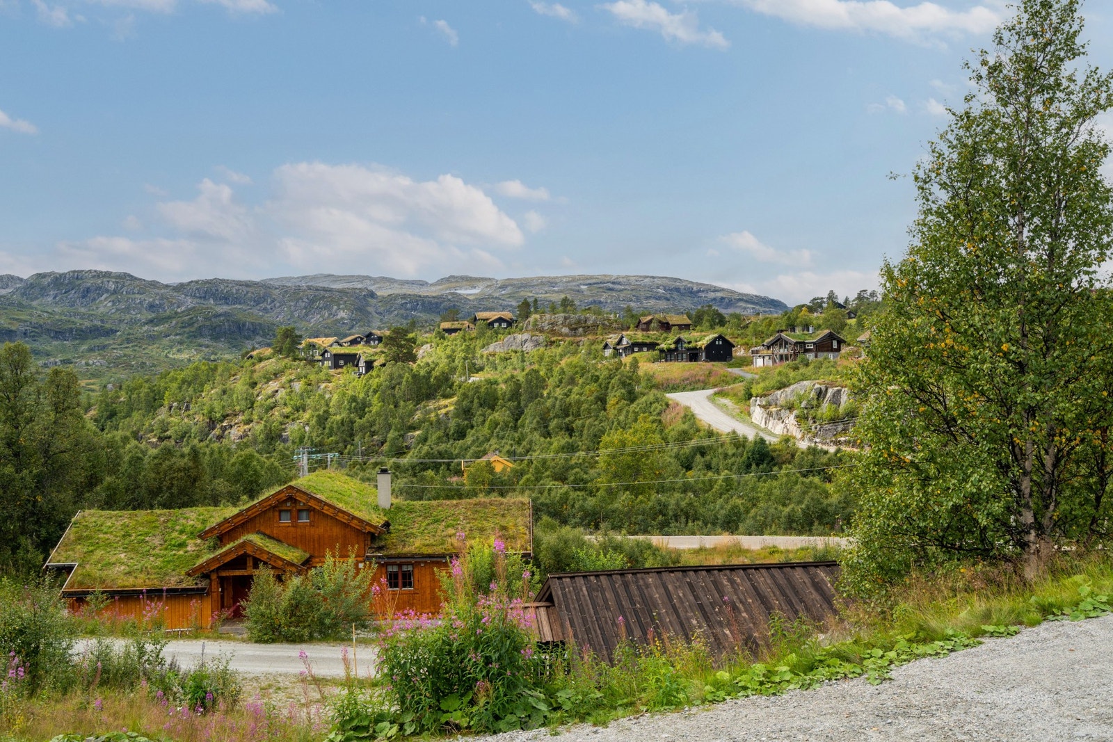 Utsikt fra hytten som ligger hevet over de andre foran Galleribilde