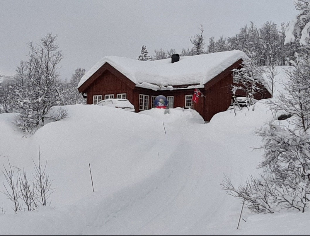 Vinterbilde Galleribilde