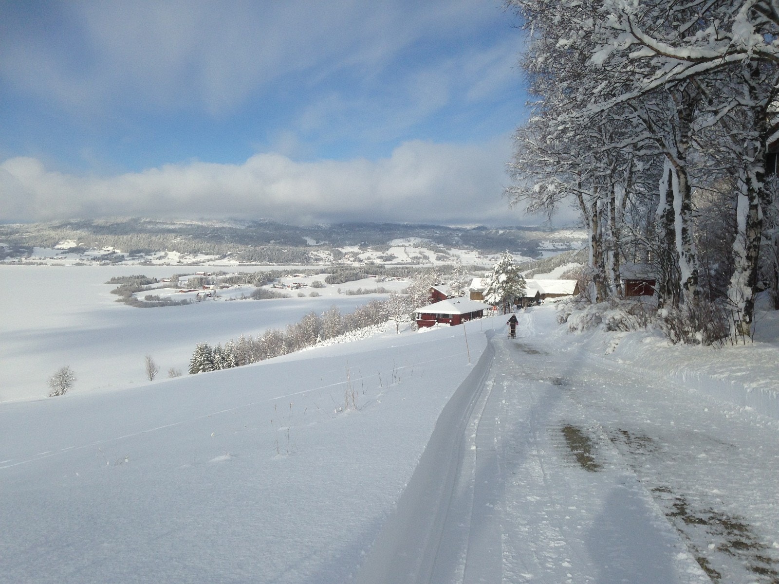 Vinter i Dyrdalslia - bildet tatt nordover Galleribilde