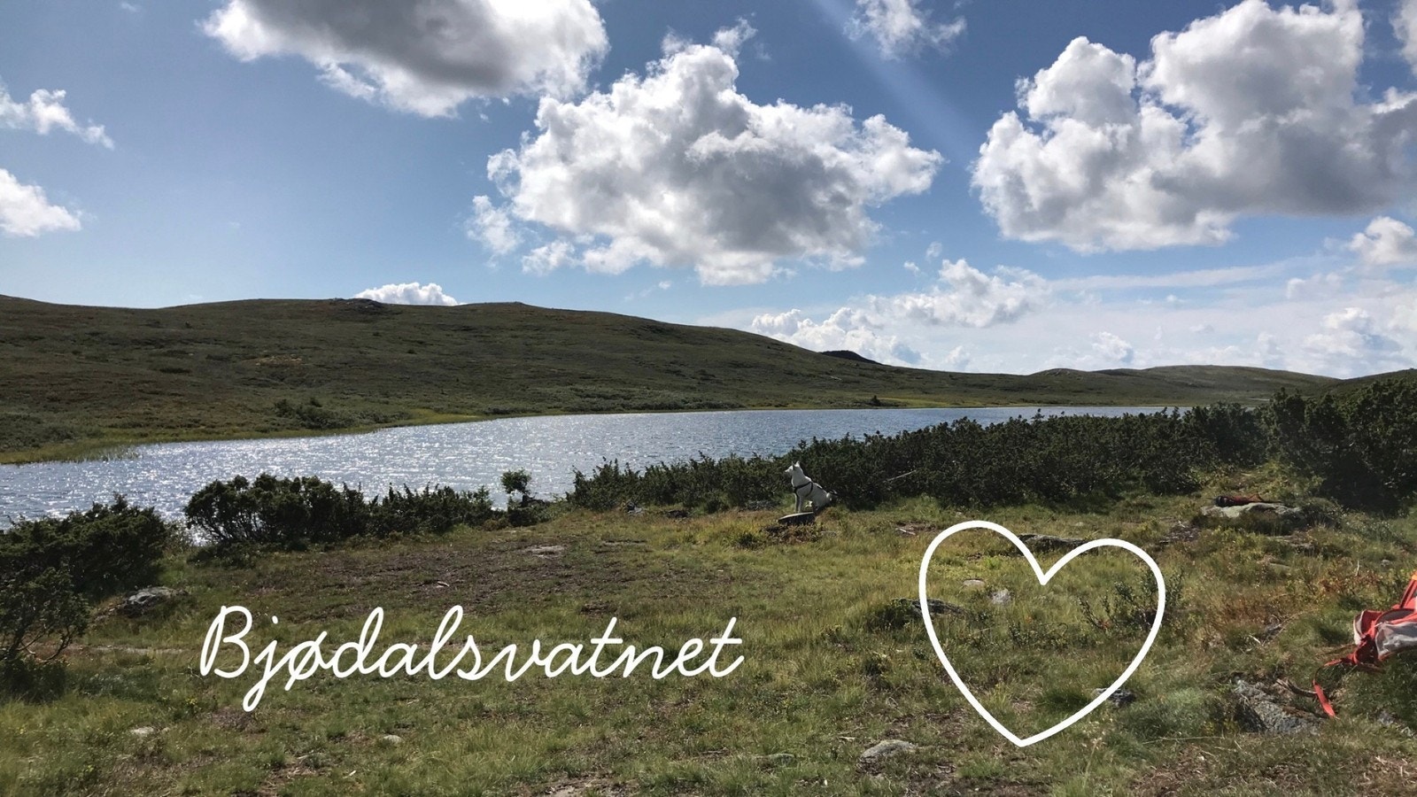 Bjøldalsvannet Galleribilde