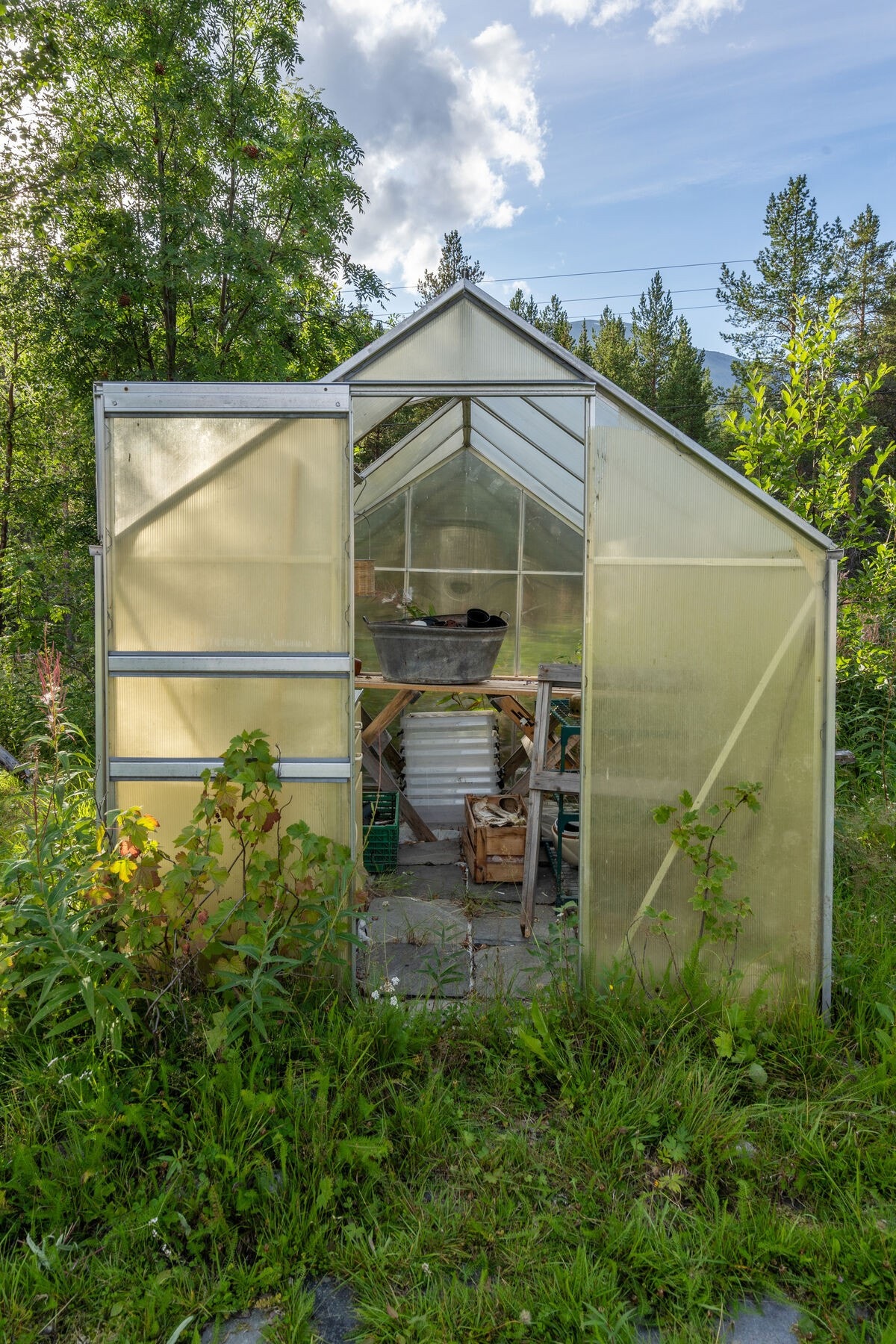 DSC07902 Galleribilde