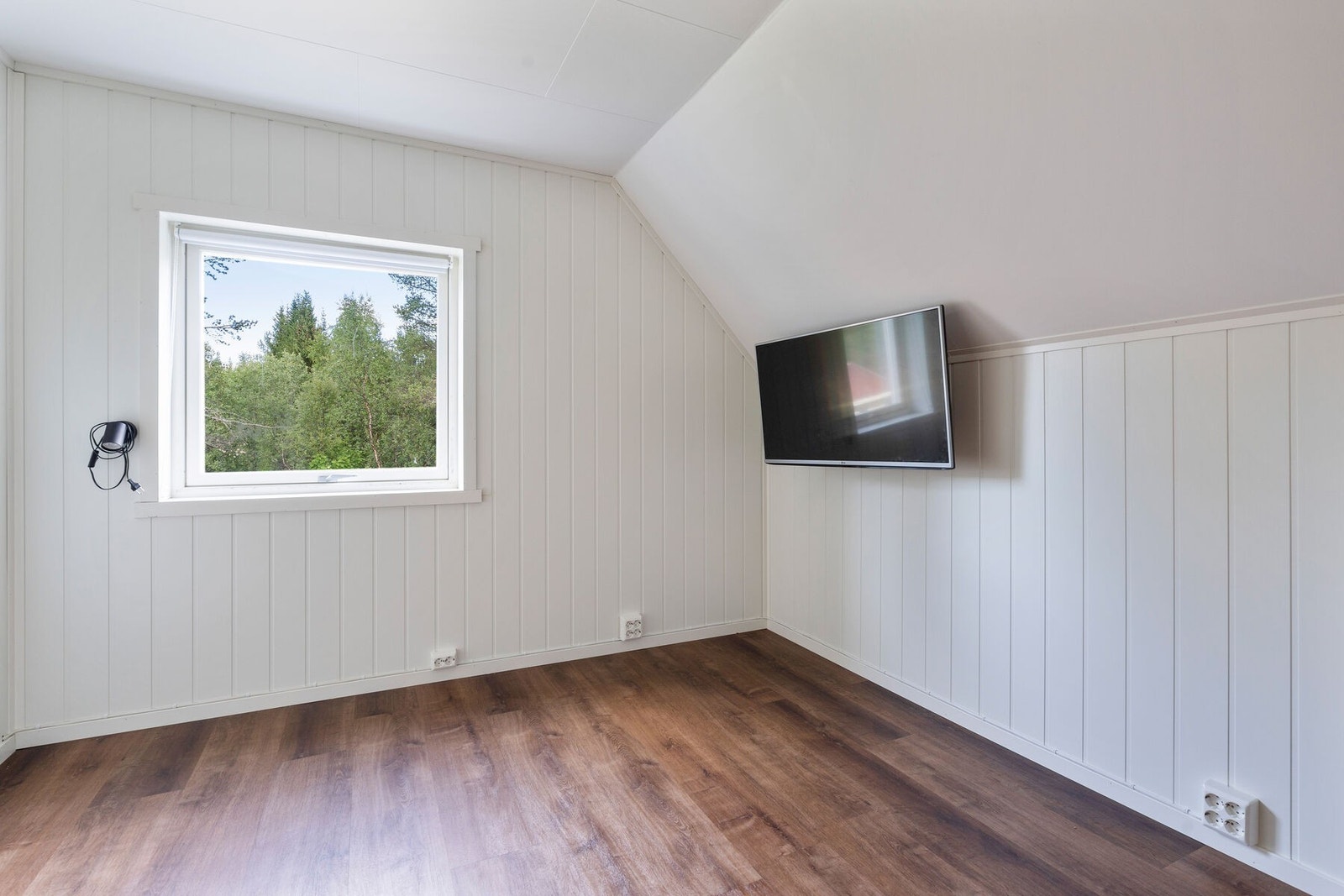 DSC07869 Galleribilde