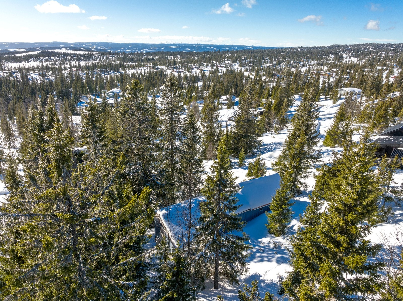 Attraktivt beliggene område med kort veg til perfekte tur- og treningsløyper Galleribilde
