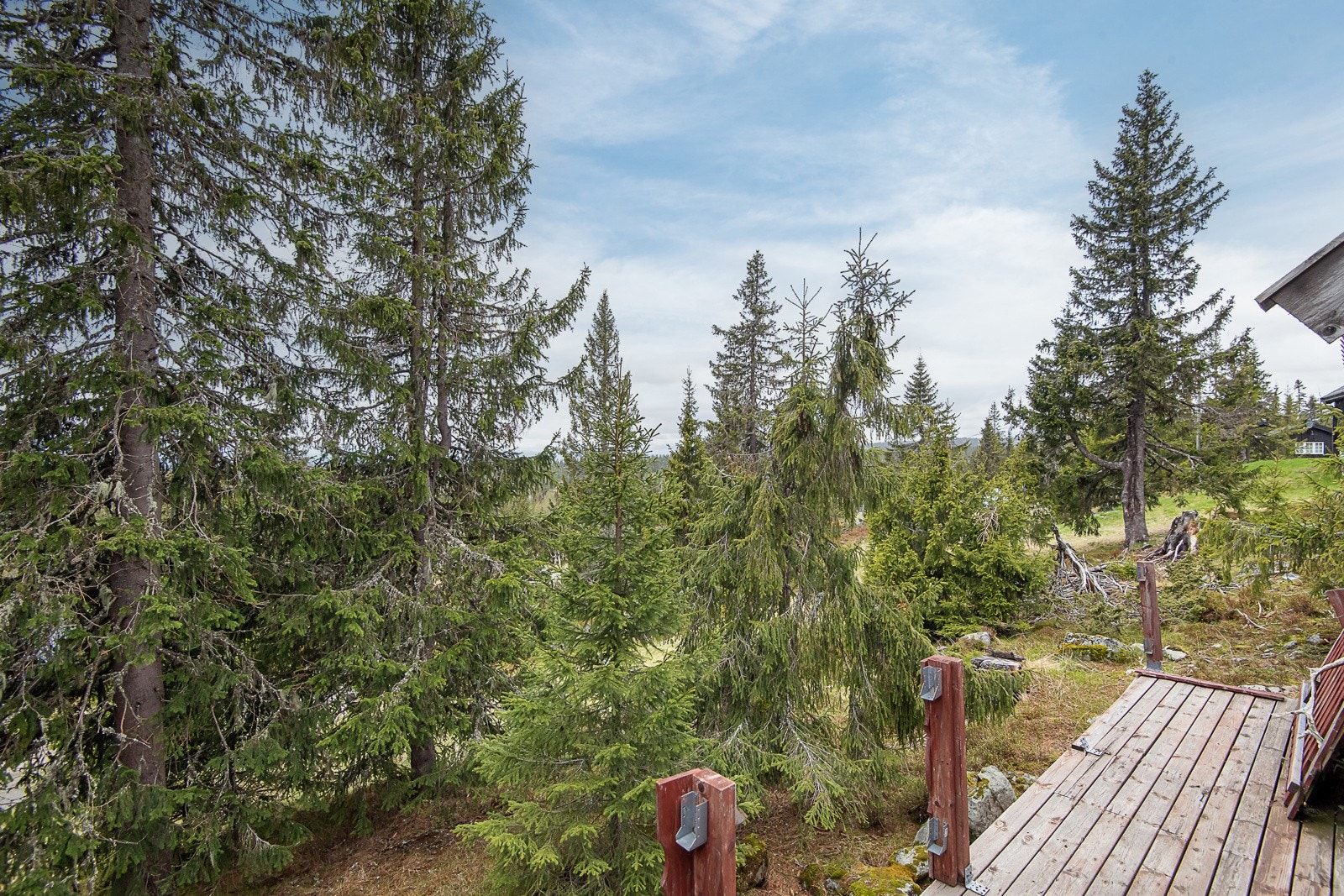 Bak vegetasjonen som omkranser hytta er det nydelig utsikt og gode solforhol Galleribilde