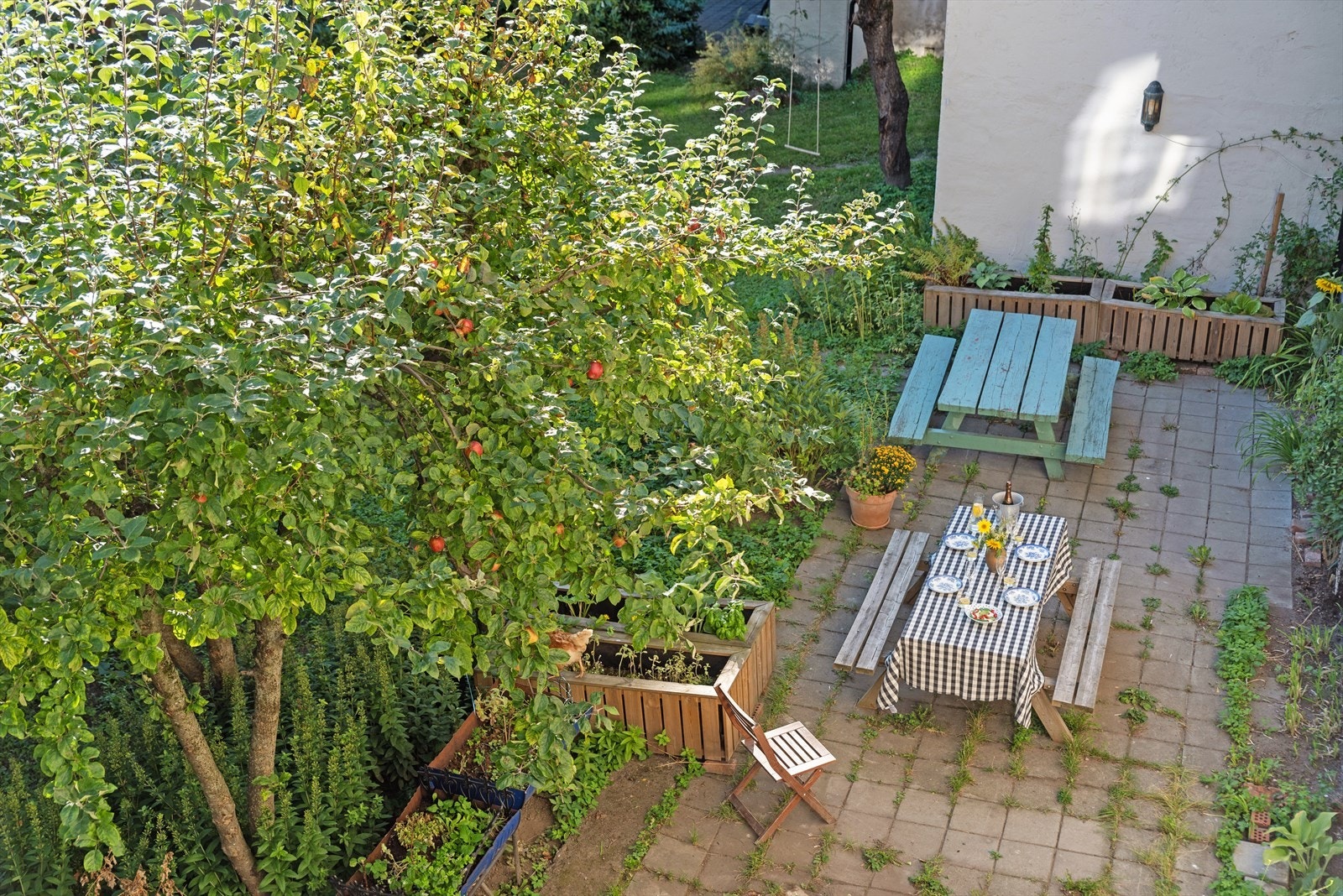 Utsyn fra balkong. Her kan du under epletreet skimte stjerten av en av hønene som vandrer fritt rundt i bakgården Galleribilde