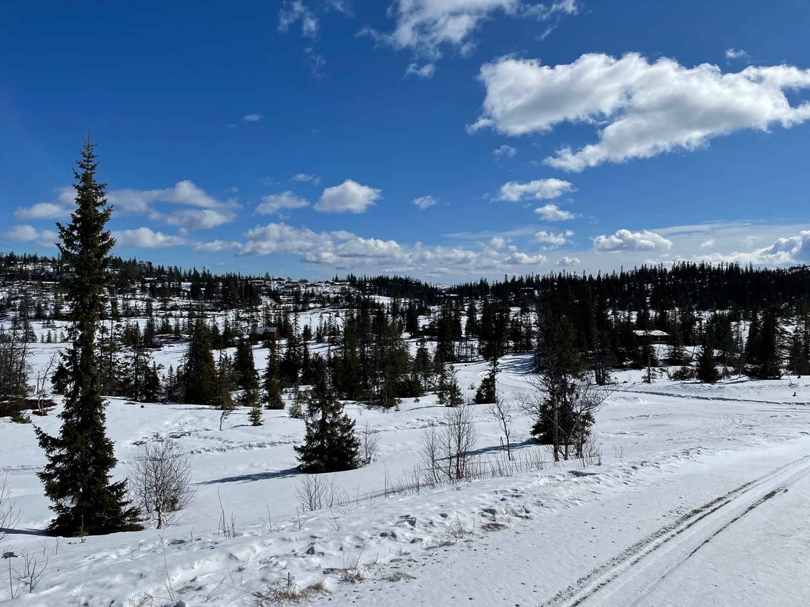 Bilde fra Kråkås Galleribilde