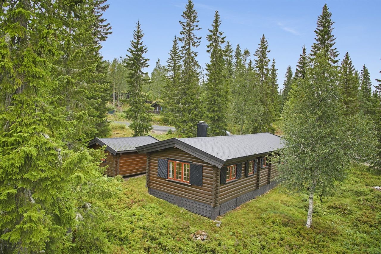 Hytta har en meget attraktiv beliggenhet på Trysilfjellets sørside. Shingeltak byttet i 2004 Galleribilde