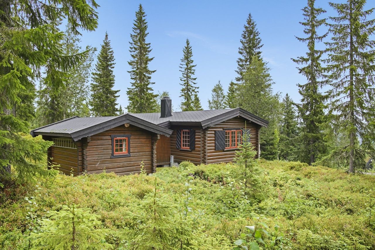 Fin, flatere naturtomt med stedegen vegetasjon Galleribilde