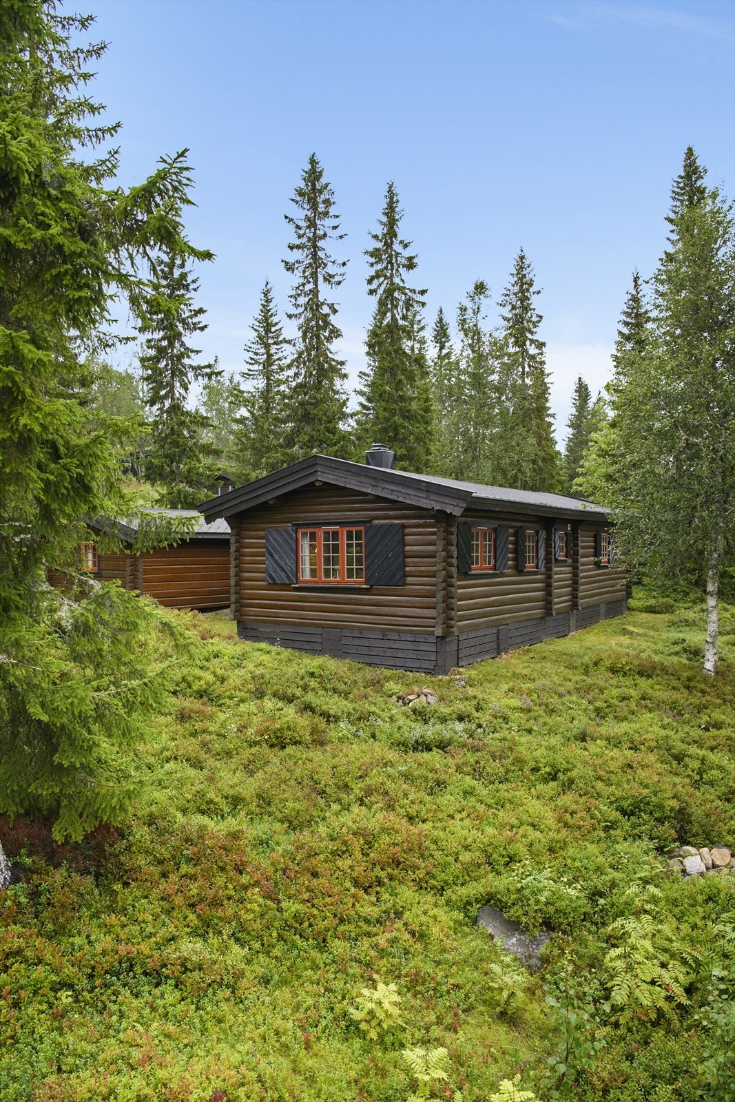 Usjenert beliggenhet på naturtomt Galleribilde