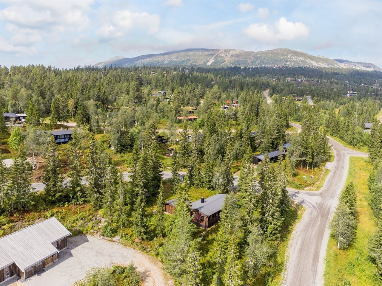 Trysilfjellet og området rundt har et allsidig og godt aktivitetstilbud. Sykkel er hovedattraksjon sommerstid, ski om vinteren. Du finner fine turstier, golfbane, høydebane, elveaktiviteter og mye mye mer.. Galleribilde