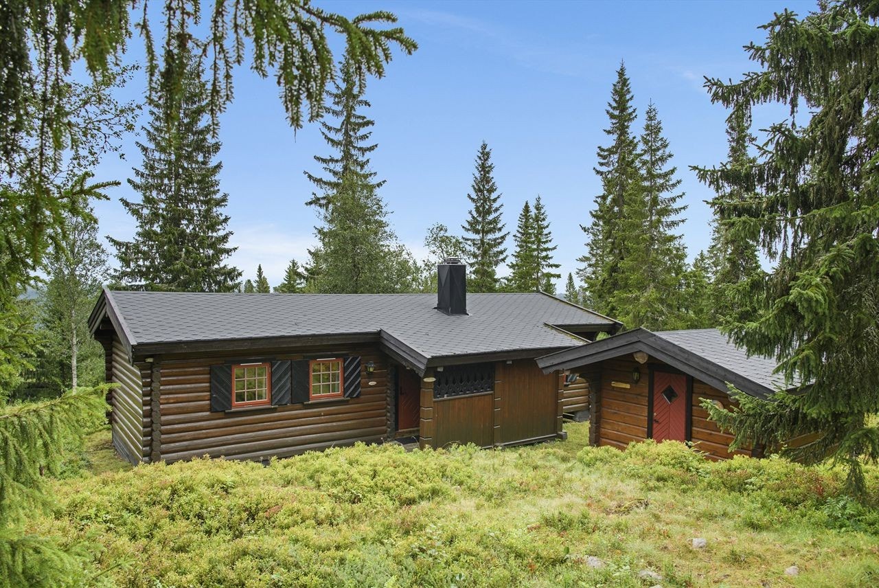 Hovedhytte og anneks med muligheter Galleribilde