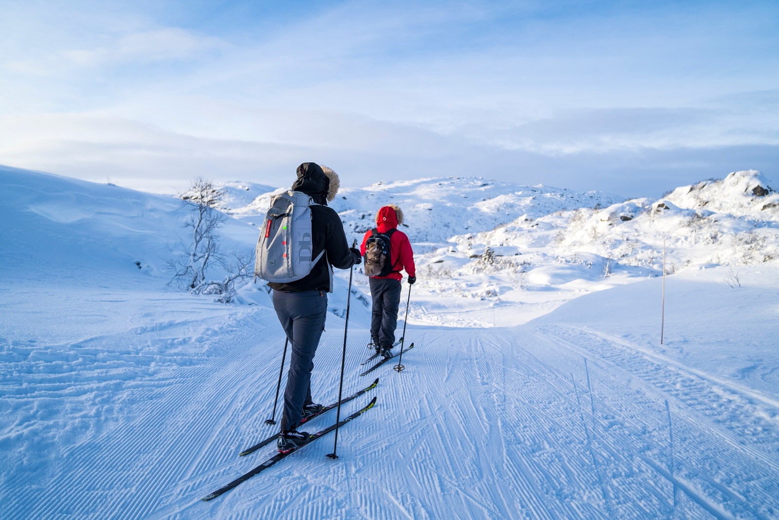 Oppkjørte langrennsløyper Galleribilde