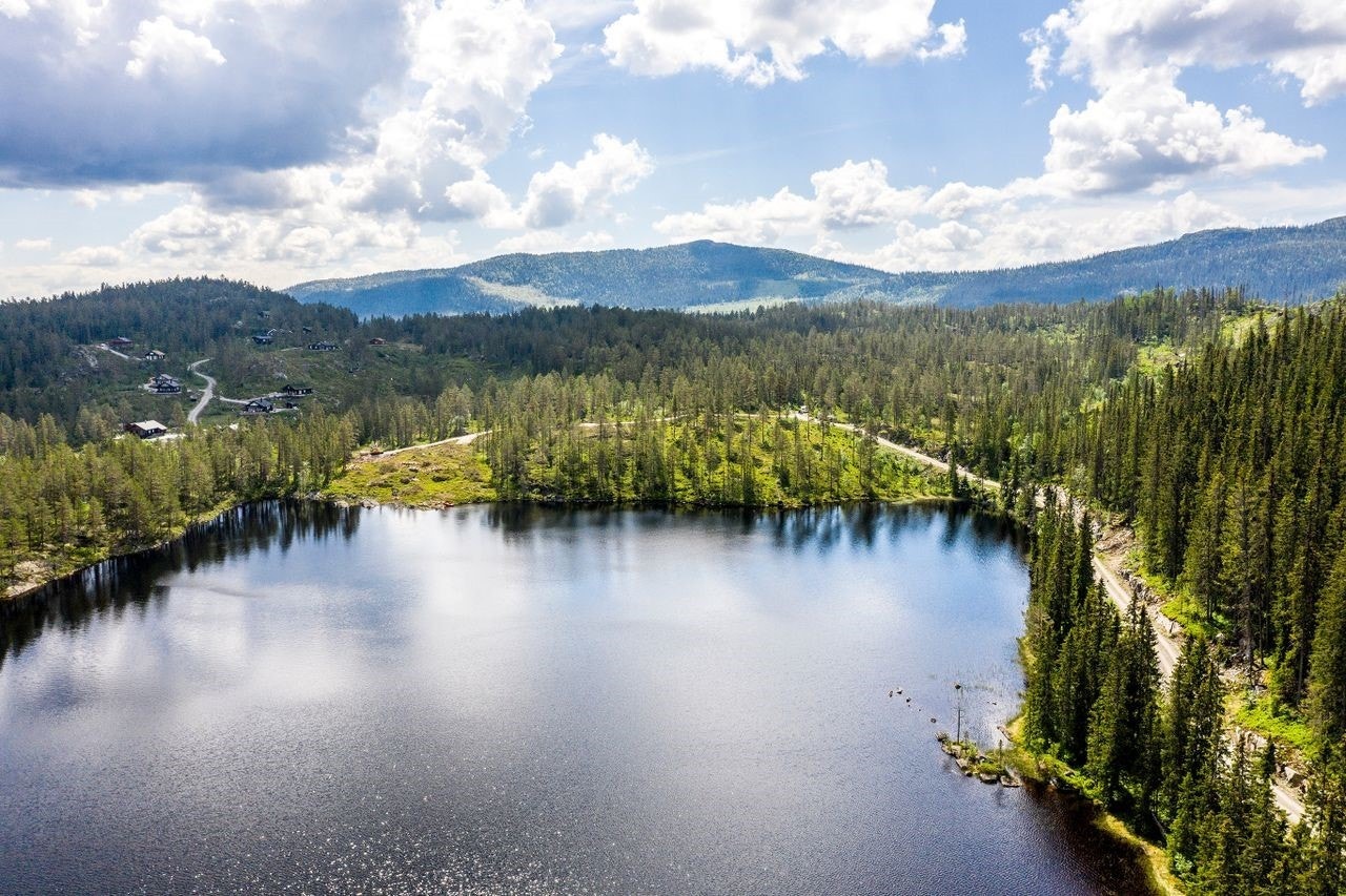 Oversiktsbilde fra tomteområdet Galleribilde