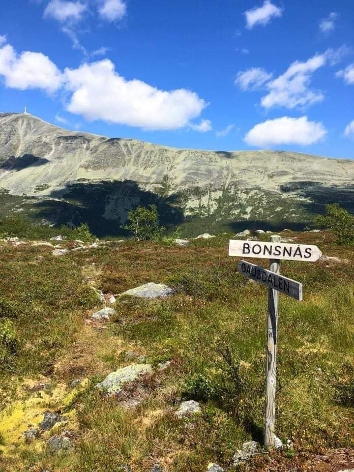 Mange flotte turstier i området Galleribilde