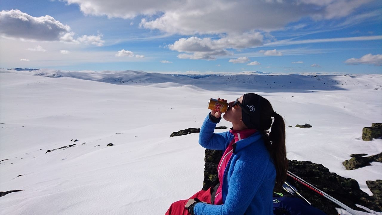 Turområde i Nesfjellet Galleribilde