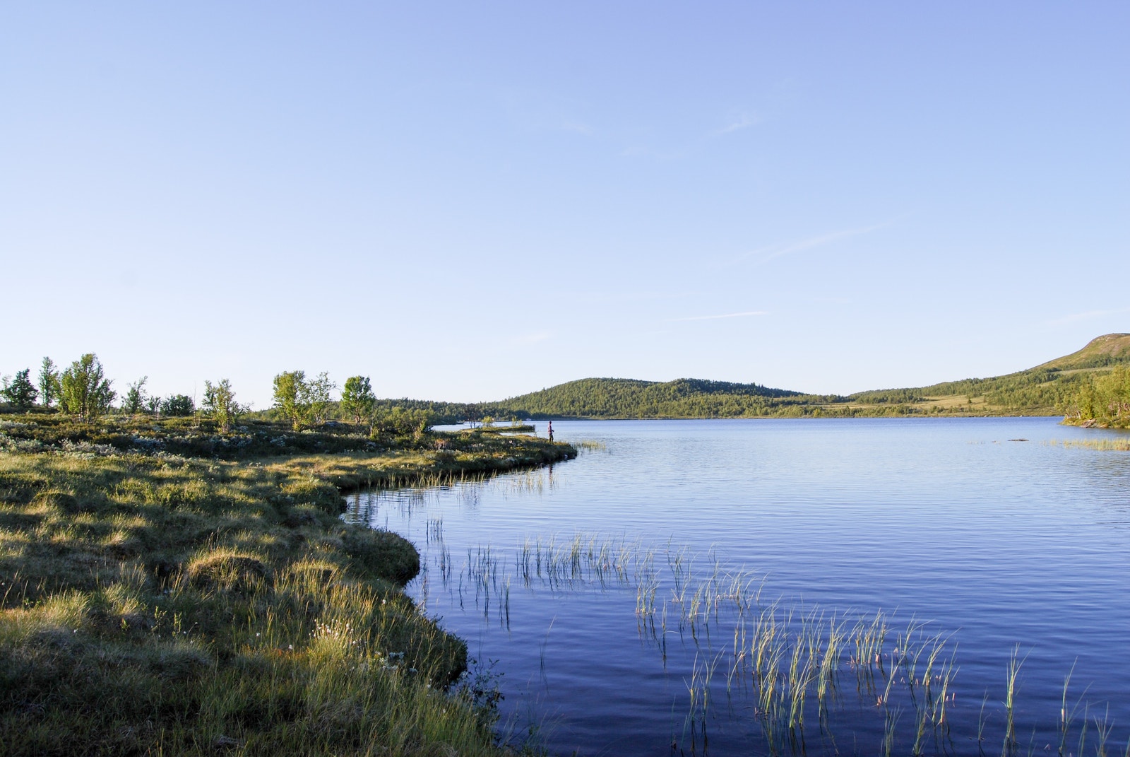 Nesfjellet kan by på mange flotte ørretvann Galleribilde