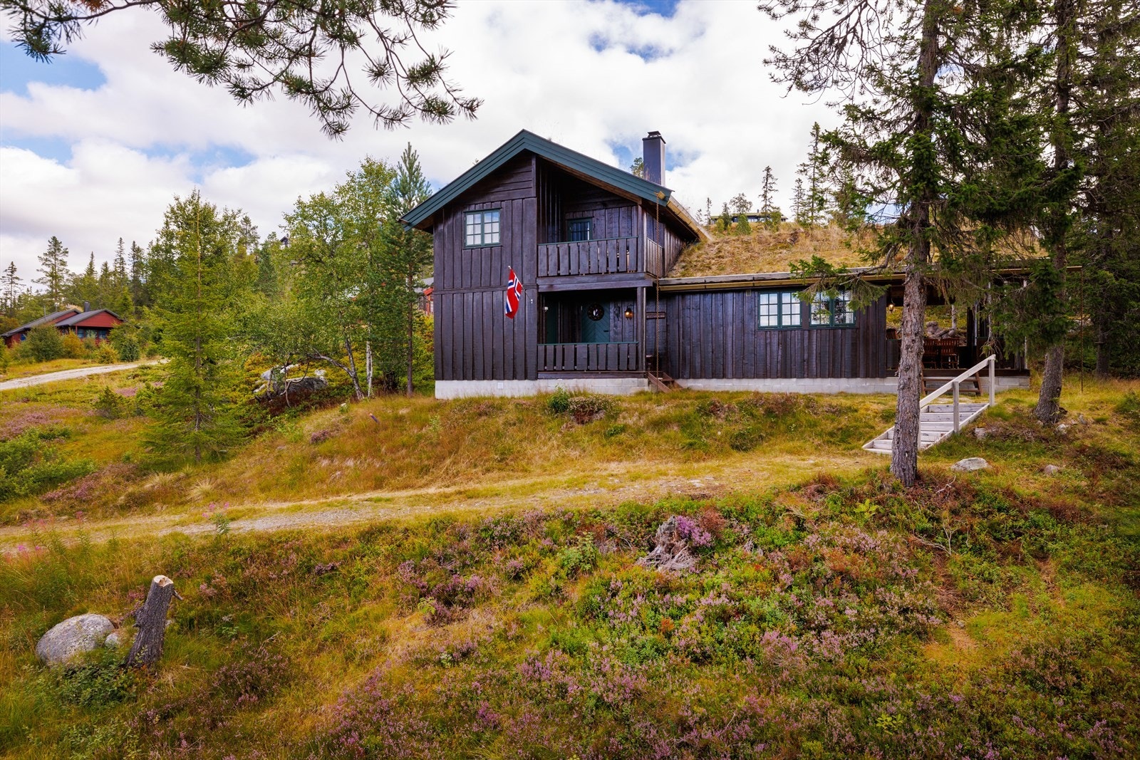 Helårs bilvei frem til hytta Galleribilde