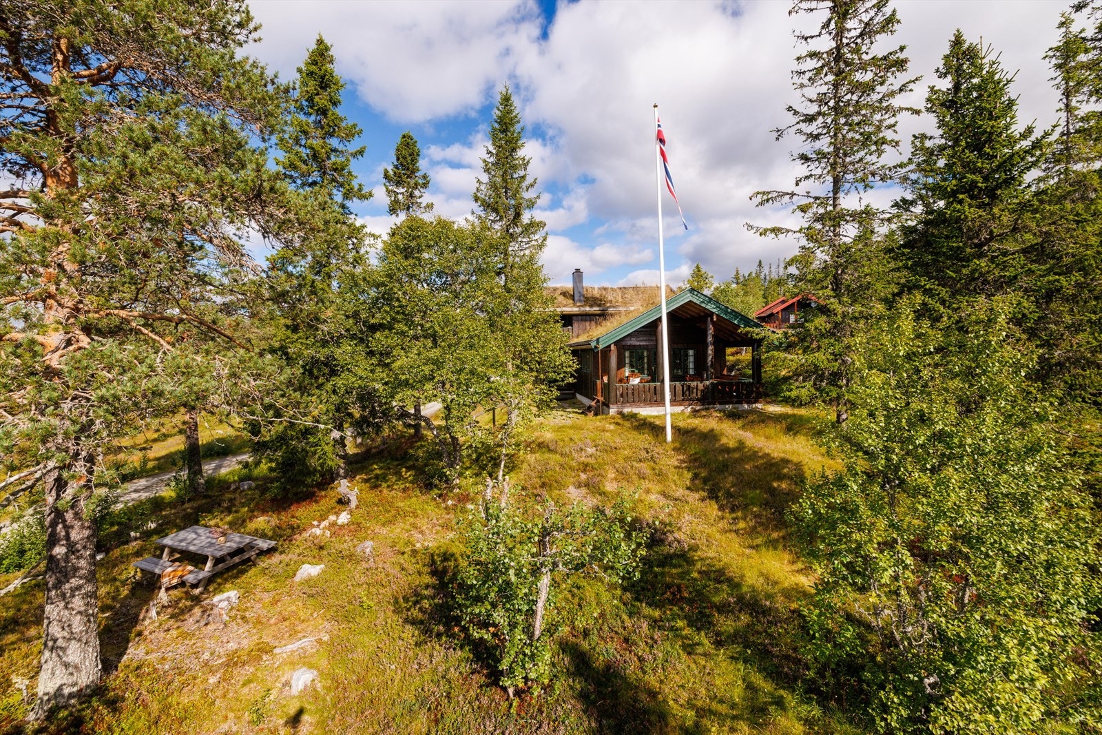 Velkommen til fjells! Galleribilde