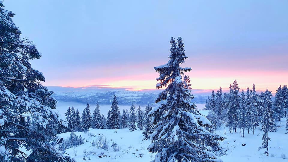 Utsikt fra hytta (selgers bilder) Galleribilde