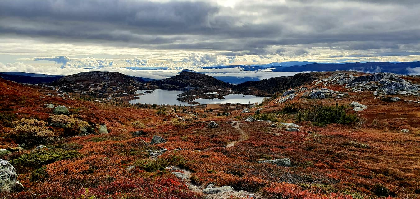 Bilder fra området (selgers bilder) Galleribilde