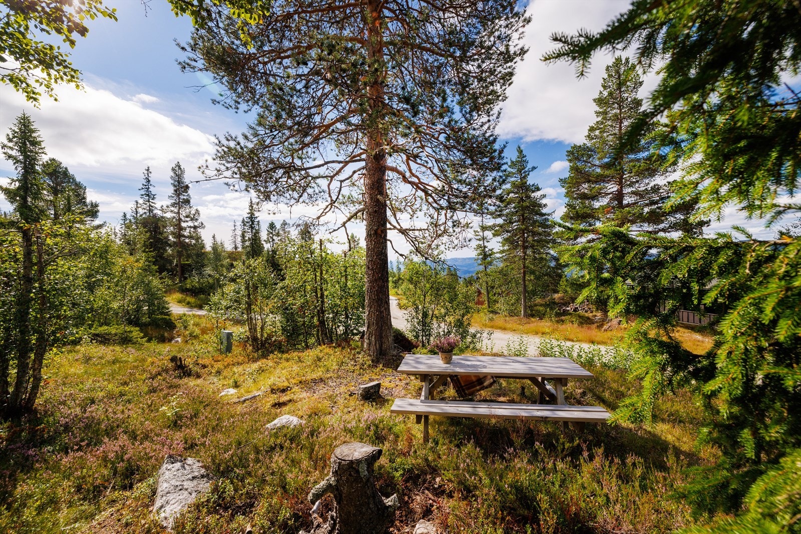 Området er perfekt for flotte naturopplevelser for store og små året rundt Galleribilde