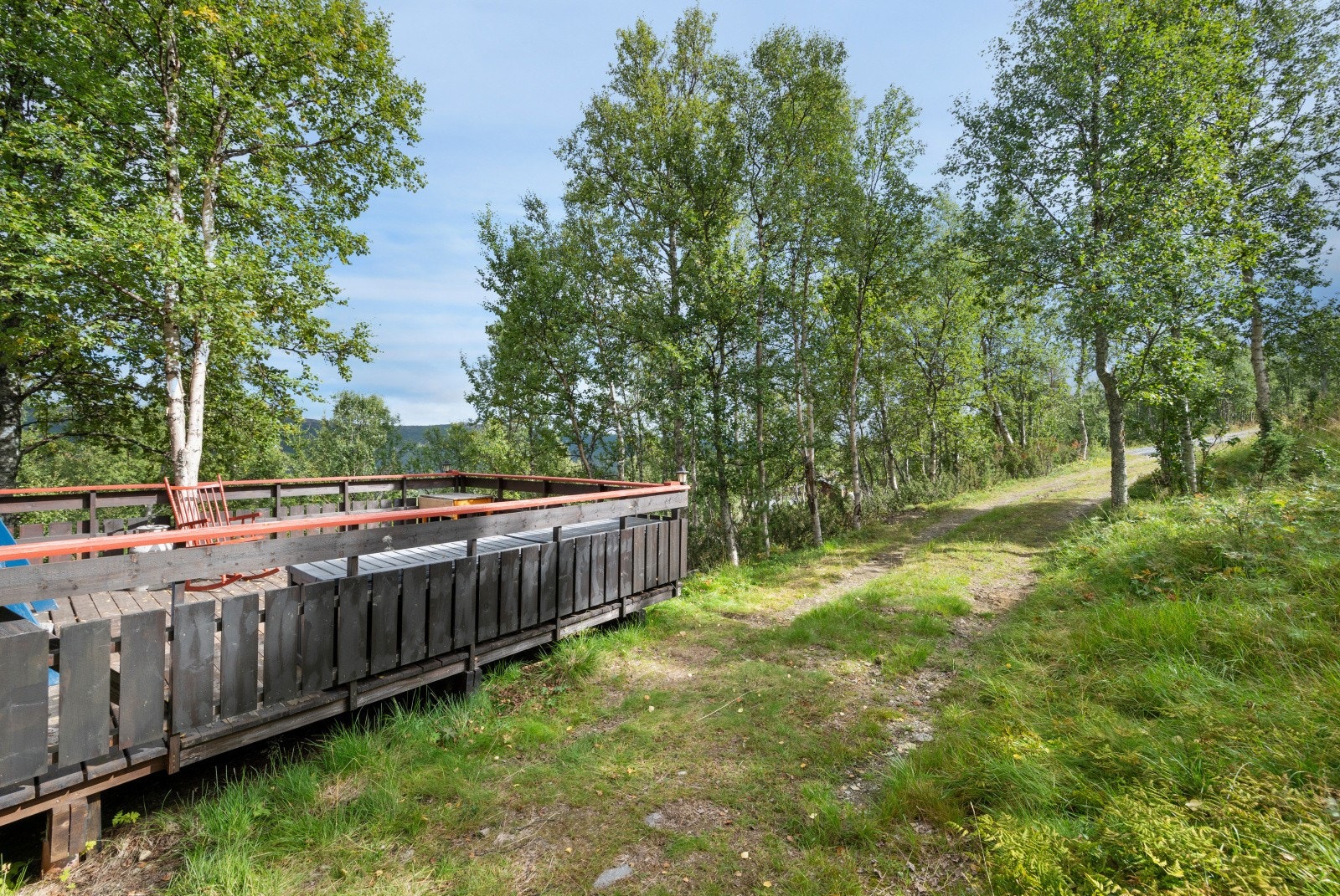 Innkjørsel til hytten. Galleribilde