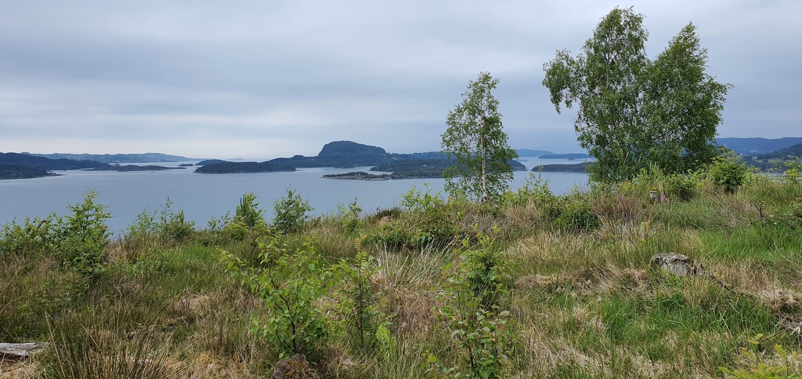 Fra alle tomtene får man en fantastisk panoramautsikt Galleribilde