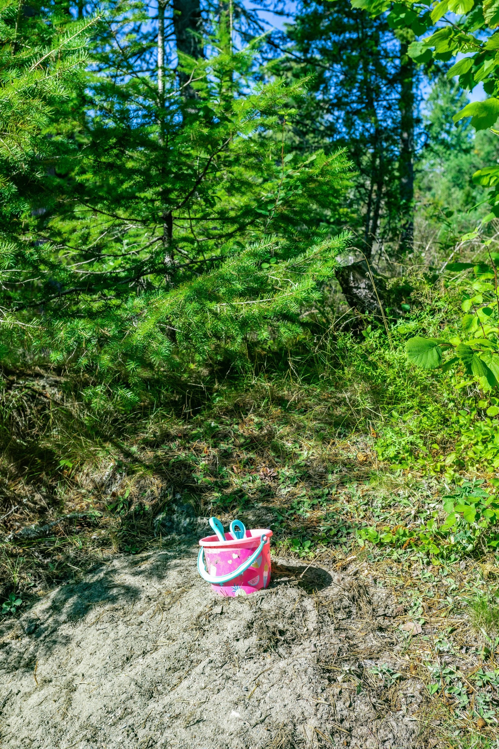 Bøtte. Barnebarn. Natur. Galleribilde