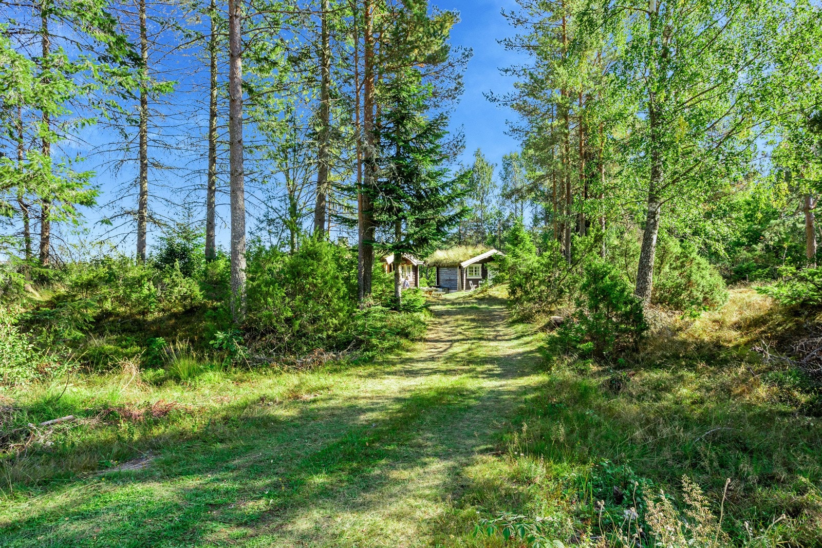 Hyttene ser du mellom trærne i skogen, her fra innkjørselen til eiendommen. Fine parkeringsmuligheter! Galleribilde