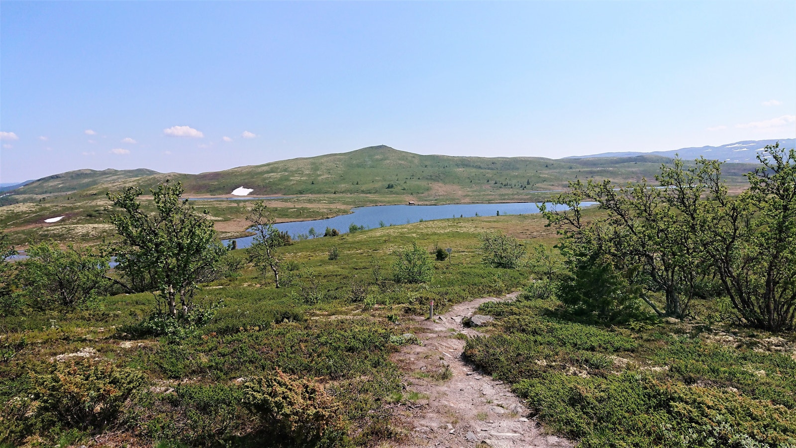 Sommerbilder fra fjellet Galleribilde