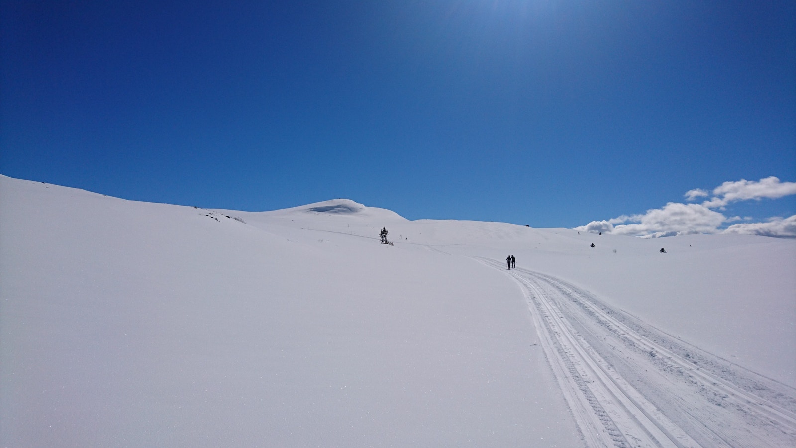 Vinterbilder fra fjellet Galleribilde