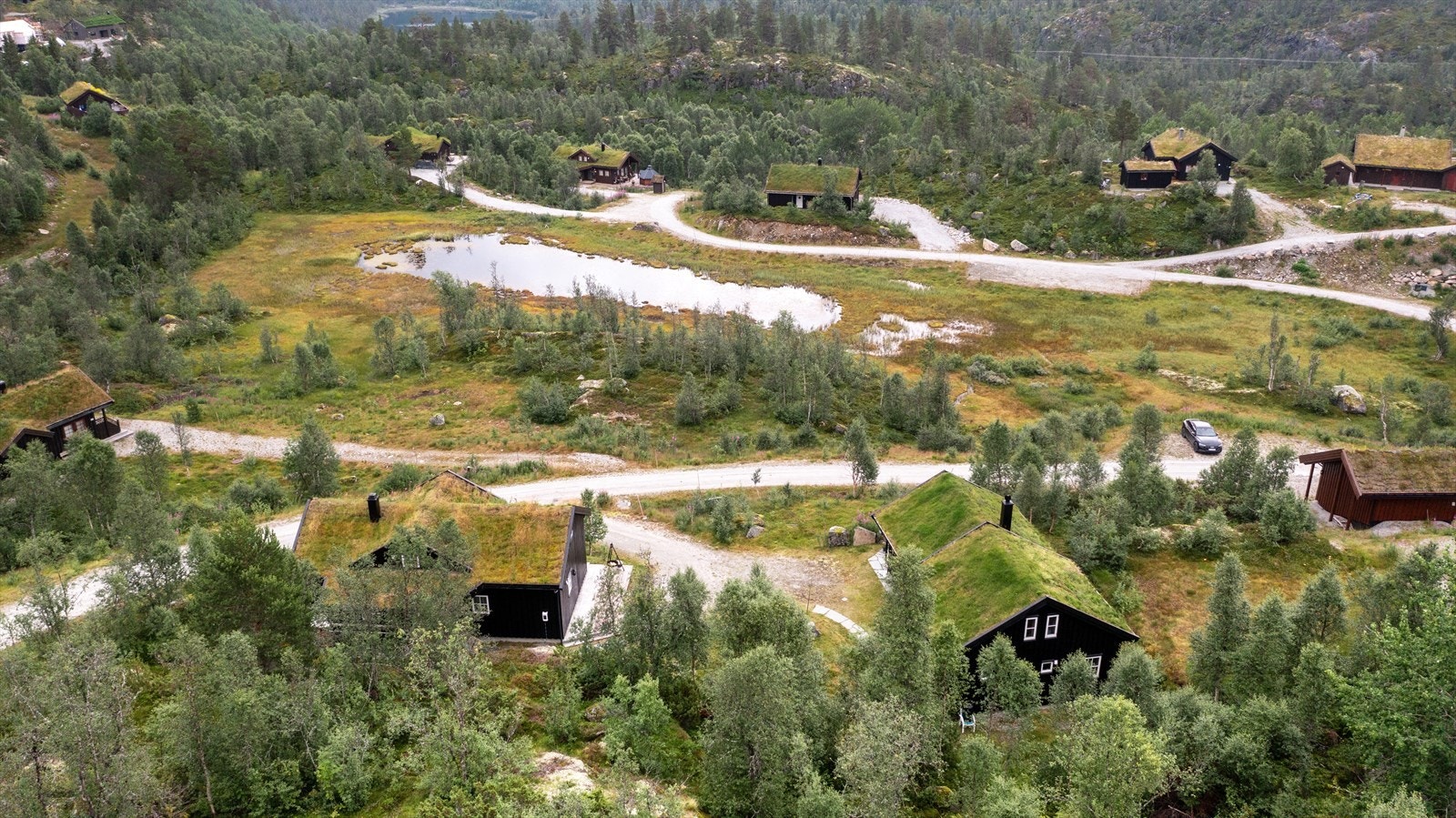 Fritt og fint i området rundt Galleribilde