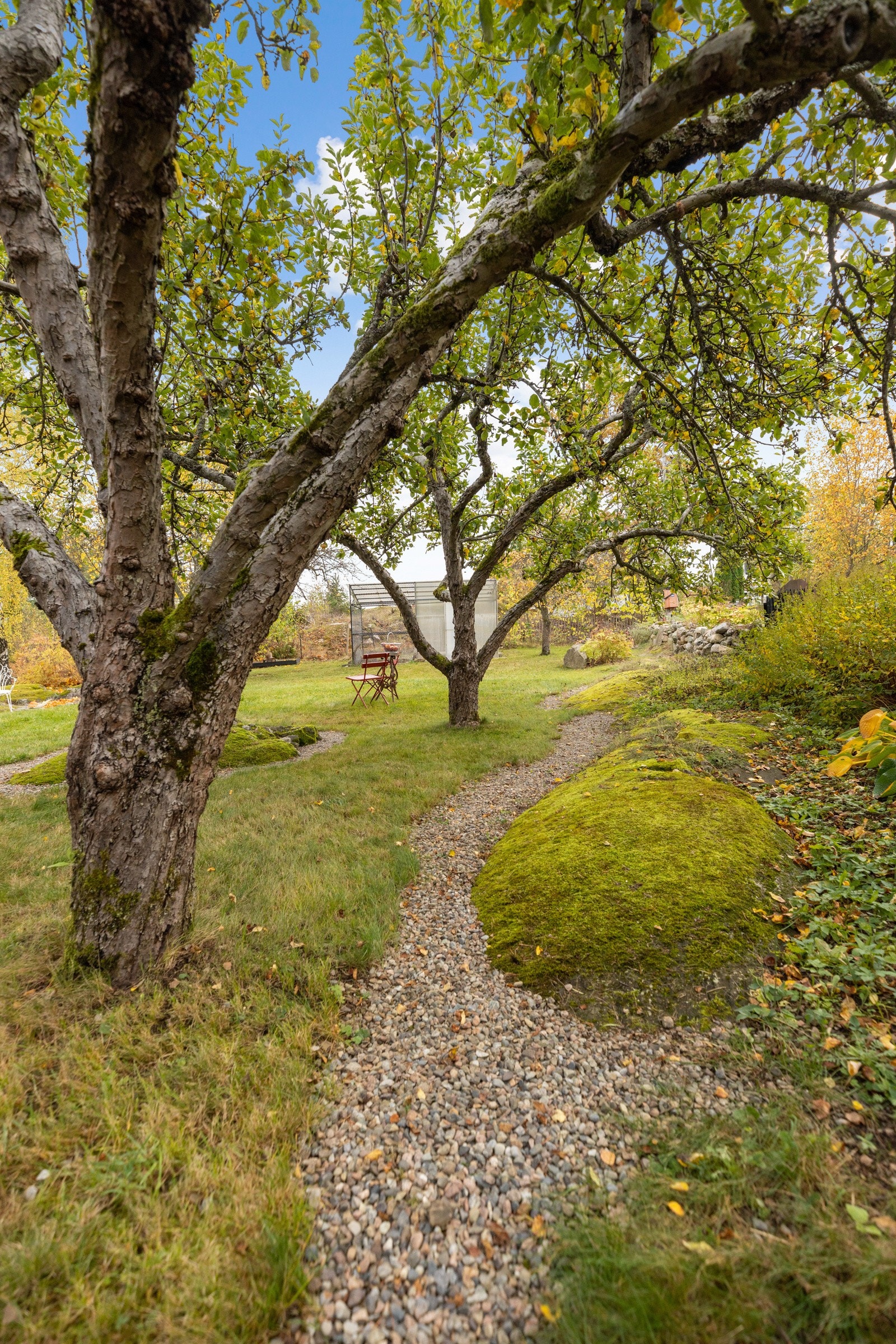 Hygglige, enkle grusstier i hagen. Galleribilde