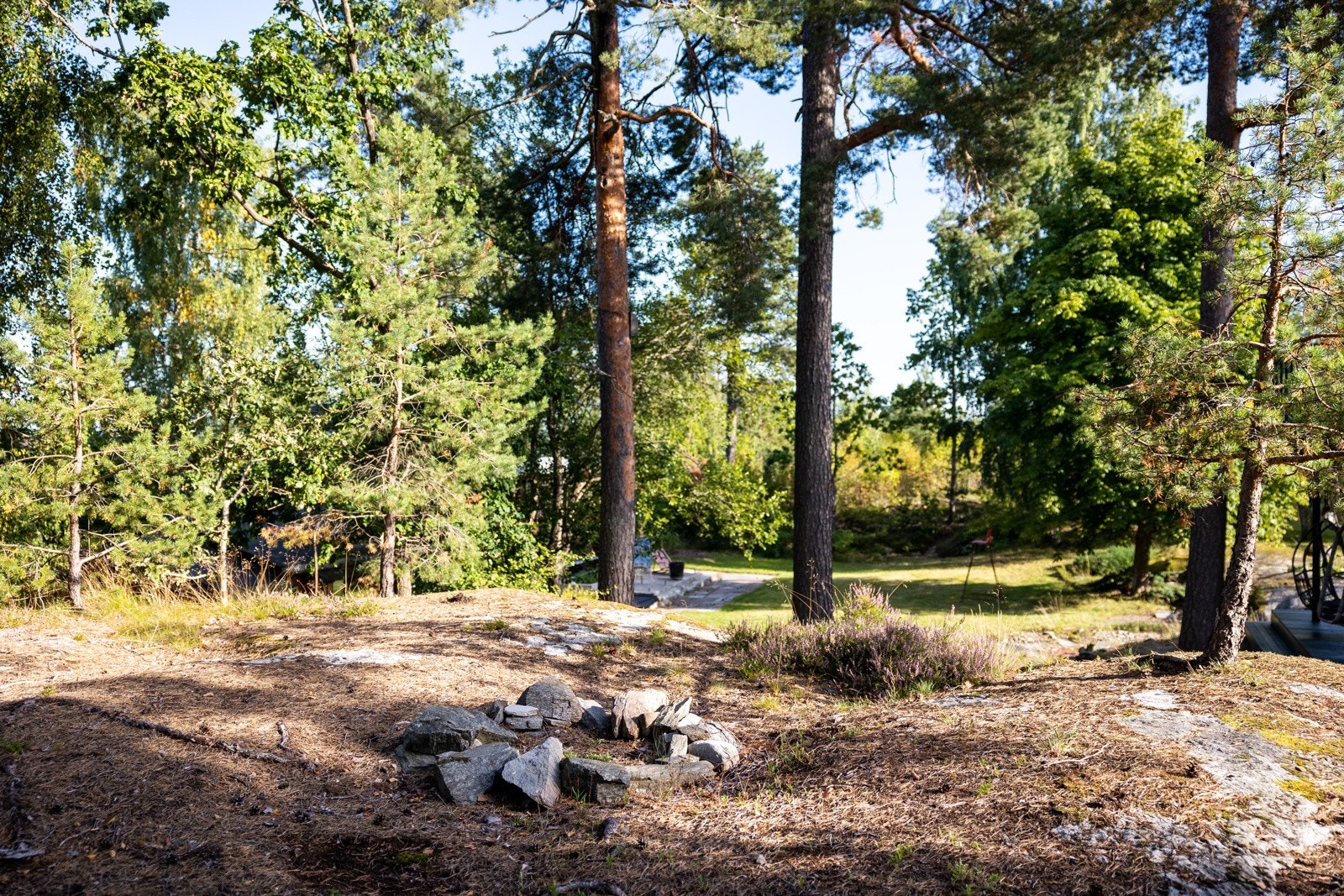 Skjermet naturtomt med store vakre løvtrær, furu, kastanje, lønn og bjørk. Galleribilde